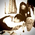 환자는 실험용 쥐가 아니랍니다.