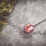 <b>센스</b>와 아이디러가 톡톡튀는 광고들