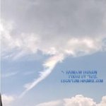 '<b>전설</b>의 용' 실제 날아가는 모습 포착!