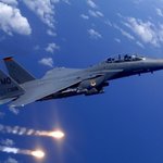 독수리가 날아오른다