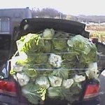 김여사, 신기한 능력 맘껏 발휘한 <b>실력들</b>