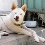 심장이 멎을뻔한 <b>점심</b>시간..@@