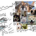 한밤중에 개한테 쫒겼어요ㅠㅠ