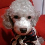 우리 김희강늼..^^