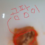 ㅇㅇ참치 정말 어이가 없네요