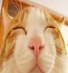 어느 작은 <b>화분</b>과 나방의 이야기