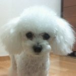 우리도 살아있는 생명입니다.