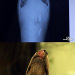 이번에야 말로 쓰레기만도못한 인간을 네티즌이 처단합시다