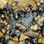 서산<b>당진</b>인근바닷가에 기름유출 알고계시나요?