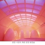 엽기적인 <b>난감</b>한 화장실들