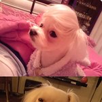 헤어<b>스탈</b>