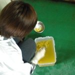 부산 유기견 보호소 봉사활동 후기(퍼옴)