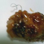 <b>p사</b> 철수세미 사건!!!