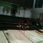 (사진)나와 1년을 함께한 <b>도둑</b>냥이....ㅋㅋ