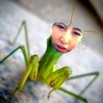 제 말하는 동물들 분양합니다 ★사진有★