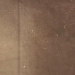 당신의 집안 공기는 어떤가요?!