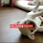 여자친구가 갈수록 난폭해저요 ㅠㅠ남자분들좀 <b>도움</b>좀 부탁드려요 ㅠ