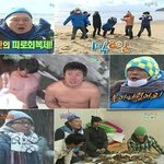 1박 2일 남극 말이 <b>씨</b>가 되는것인가??? ㅇㅅㅇ