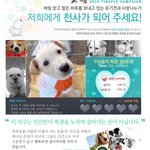 클릭 한번으로 유기<b>견들</b>을 도와주세요 !