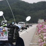 열여덟 나이의 직업병.