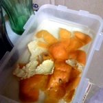 사진有)하숙집 전자렌지에 불내고 <b>도피</b>중ㅠㅠ어카죠?