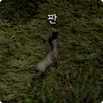 온동네 사람들한테 주먹질과 <b>발길질</b>을 당하던 사나이