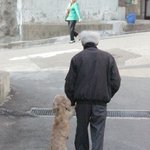 <b>동반자</b>...(개웃김ㅋ)