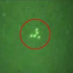 외계 생명체는 과연 존재하는 것인가? <포스카인드>