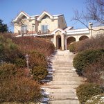 [사진有]남산타워에 커플 <b>자물쇠</b> 걸어놓고..이런 일 당했음..?...