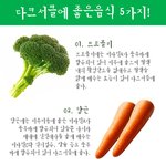 다크<b>서클</b>에 좋은음식 5가지