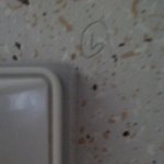 <b>초인종</b> 표시 우리집 앞에도 있다! 라는 분들 계십니까?