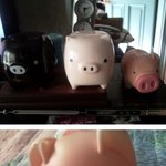 돼지잡은날~ㅋㅋㅋㅋ