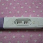 시험관아기 배아이식후.. 임테기 <b>두줄</b>...