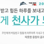 ★꼭참여해주세요★ 댓글달고 유기견에게 사료<b>포대</b> 전해주기!