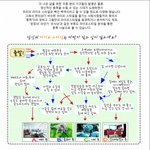 [심테]나는 무슨 종족일까요~?? 라이프 스타일로 알아봐요ㅋㅋ