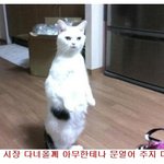 아무나 문 열어주면 안된다~ㅋㅋㅋㅋㅋㅋㅋㅋ