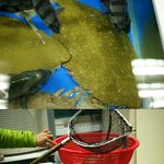 (사진有) 남자넷이 부산여행 다녀왔습니다!!