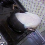 '곰탕' 과 의 전쟁 [사진有]