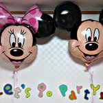 한<b>밤중</b>에 동물들이 탈출했어요!!!!!!!!