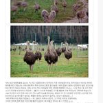 너무 충격적인 사건을 경험했어요... 꼭 봐주세요