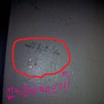 (사진有)저희집<b>대문</b>에 도둑이한 표시가 있어요...
