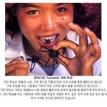 세계의 엽기적인 음식들