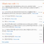 외국에서 한국애들이랑 같이 지낸다는거