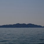 한류여, <b>포효</b>하라!