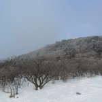 태백 겨울 산행/눈꽃축제 여행기~스압/사진有ㅎ