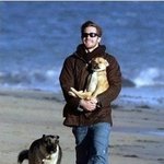 스타들의 절친, <b>헐리</b>웃 스타들의 애완견~