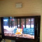 <b>lg</b> 엑스 캔버스 너네, 짱먹어라. ㅆㅂ +_+b