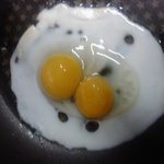 <b>쌍란</b>! 이렇게쉽게나오는건가요? (사진有)