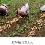 생각없이 피식하게되는 <b>사진들</b>....