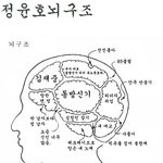 동방신기 뇌구조 (5명<b>new</b> <b>new</b>.ver)